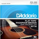 D'Addario EFT Flat Tops