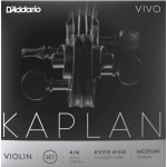 Kaplan Vivo