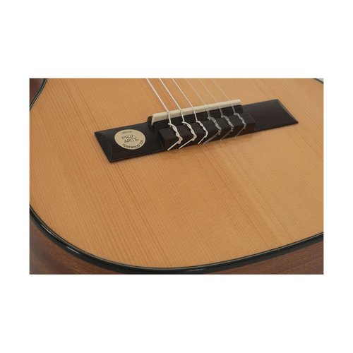 GEWA Pro Arte GC 25 A guitarra clsica
