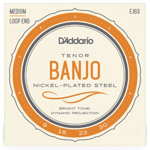 DAddario EJ63 Tenor Banjo NIckel 009/030