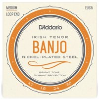 DAddario EJ63i Irish Tenor Banjo Nickel 012/036