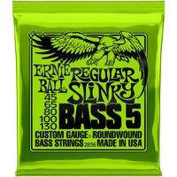 Ernie Ball EB2836 Regular Slinky Basse 5 cordes 45-130