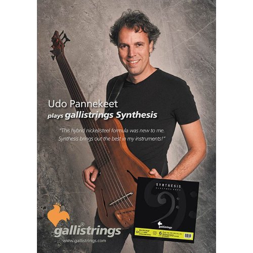 Galli BSN-35125UP Synthesis Nickel Udo Pannekeet 6-String